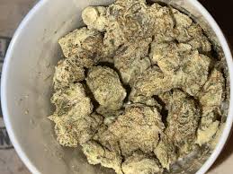 Cheap Jungle Candy Strain Online