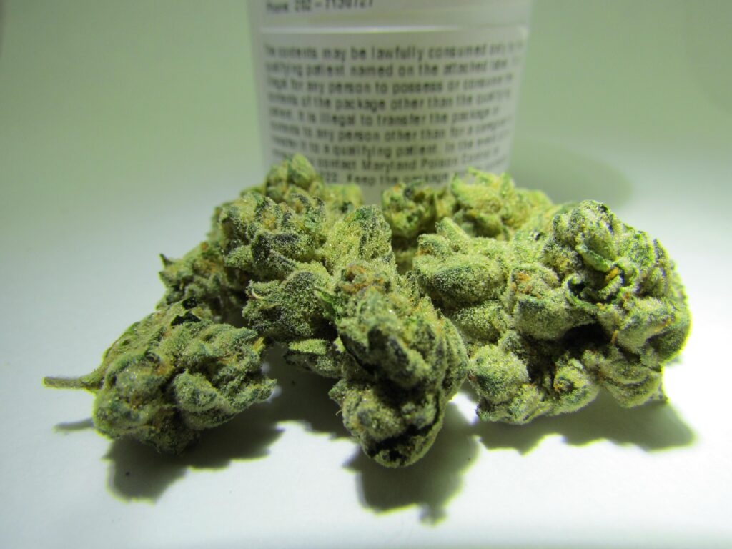Snowman Cookies Strain Deals and Discounts