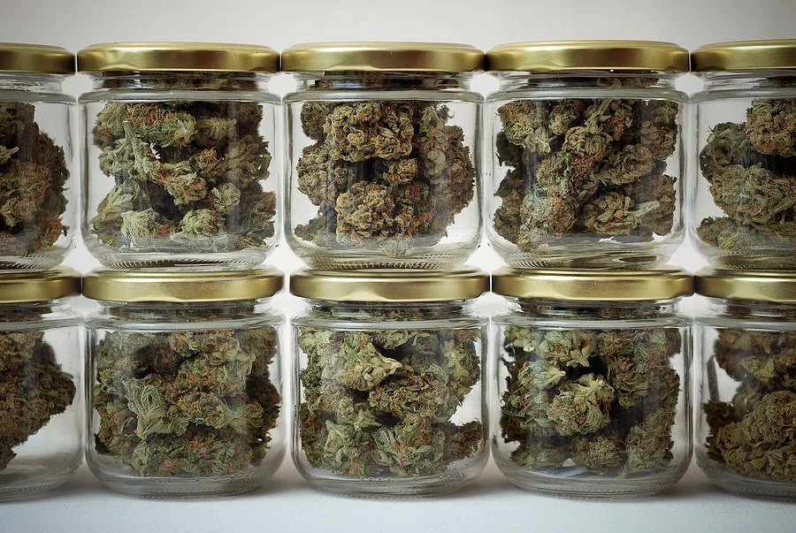 Cheap Zaza Weed Deals Online