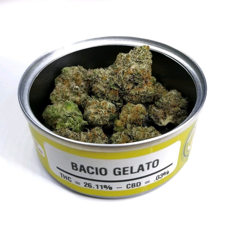 Buy Bacio Gelato Strain Online