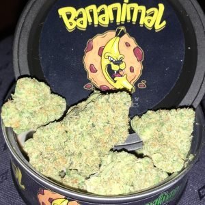 Bananimal Weed for Sale Near Me Online