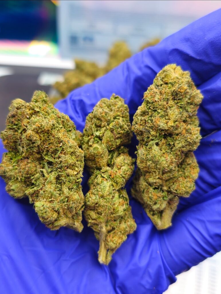 Order Caramel Weed Near Me today