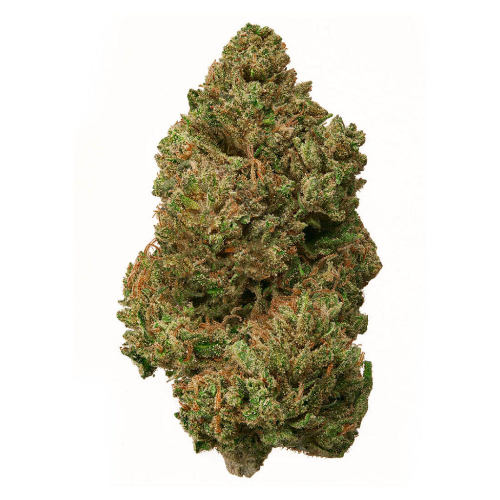 Buy Garlic Breath Strain Online