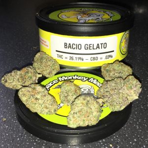 Bacio Gelato Weed for Sale
