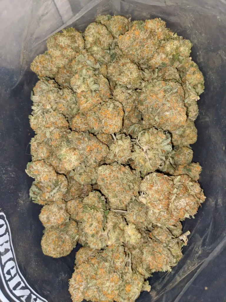 Fast Weed Delivery in Germany