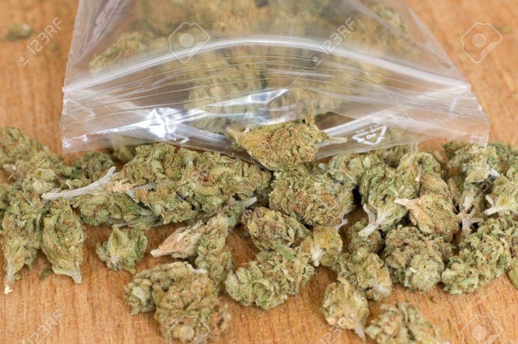 Fast Delivery Marijuana Shops In Germany