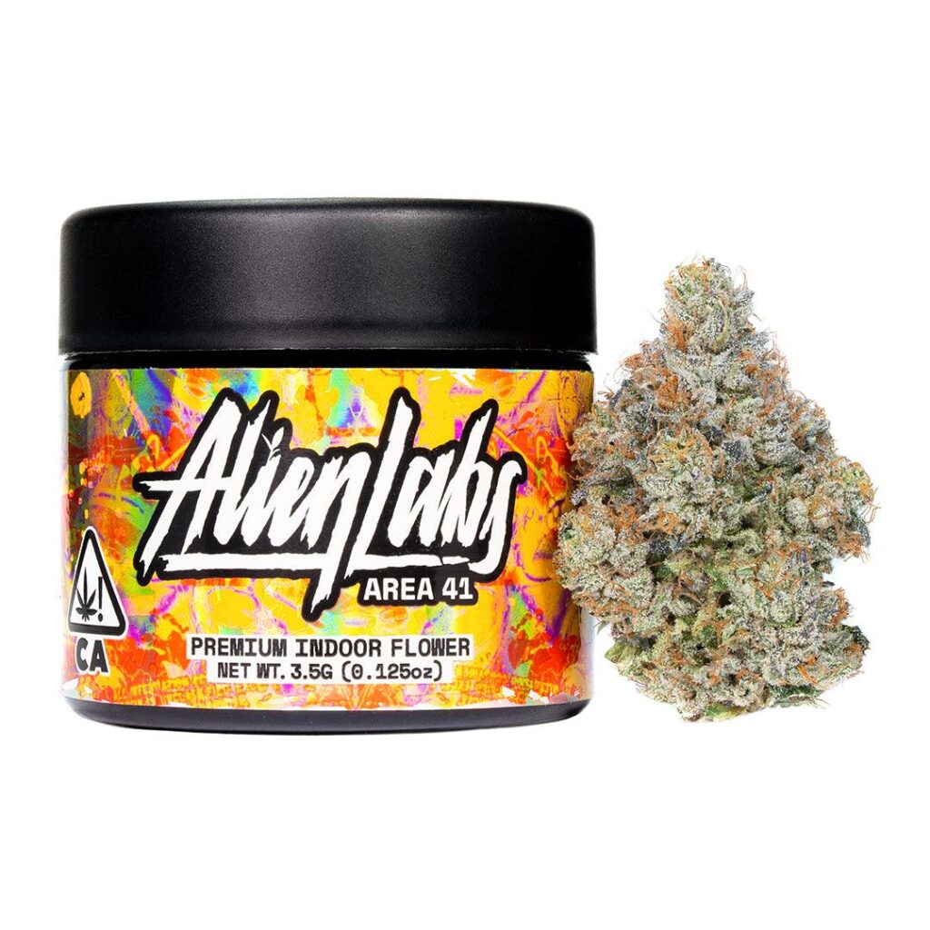 Order Gelato 41 in Netherland